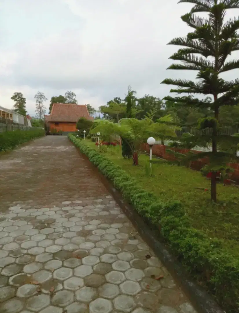 Murah dijual cepat villa joglo di bandungan ungaran