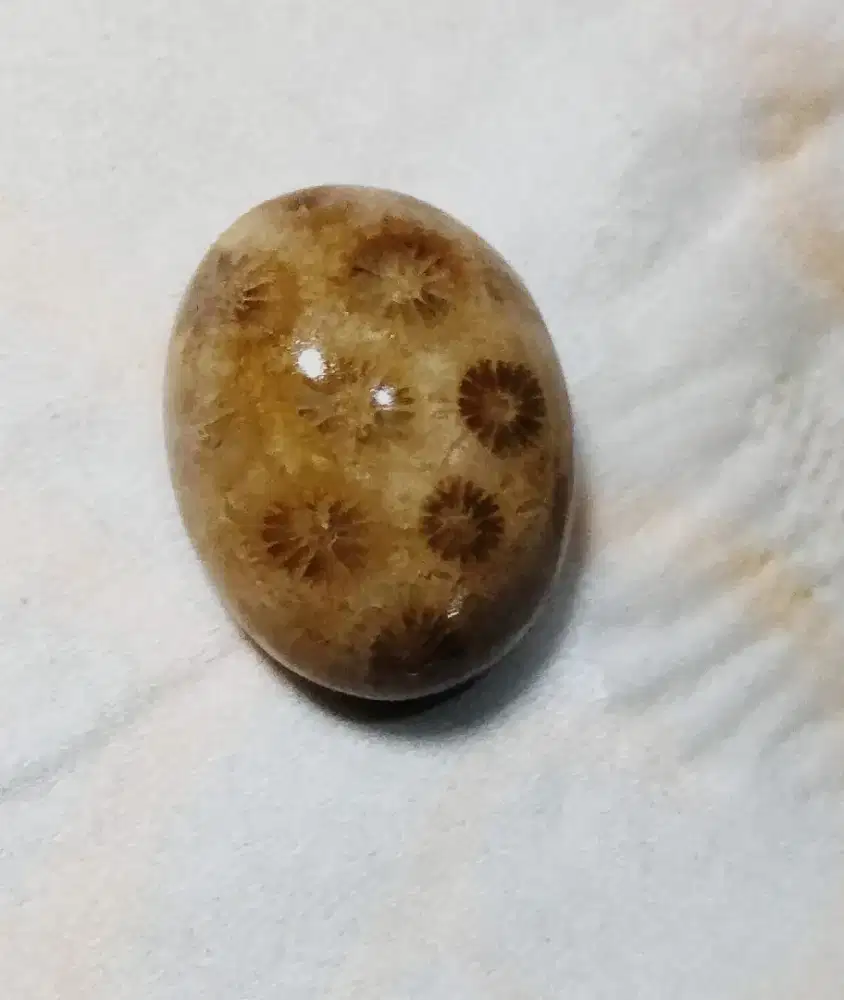 Batu Akik motif karang