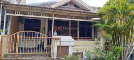 Jual Rumah Cocok Usaha Dan Kantor Jalan Puri Anjasmoro Semarang - 8599