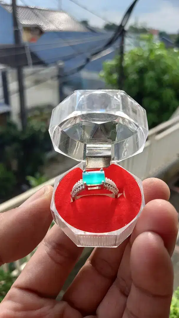 Bacan coklat merah wanita