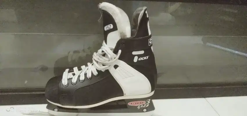 Sepatu es skating