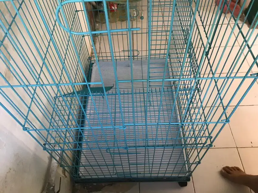 Kandang kucing tingkat 3 merk BOOM