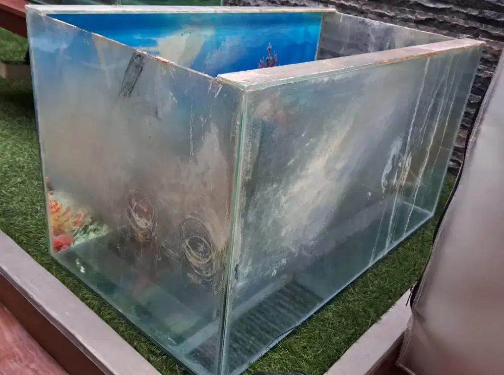 Akuarium kaca ukuran 70 x 40 x 40 cm