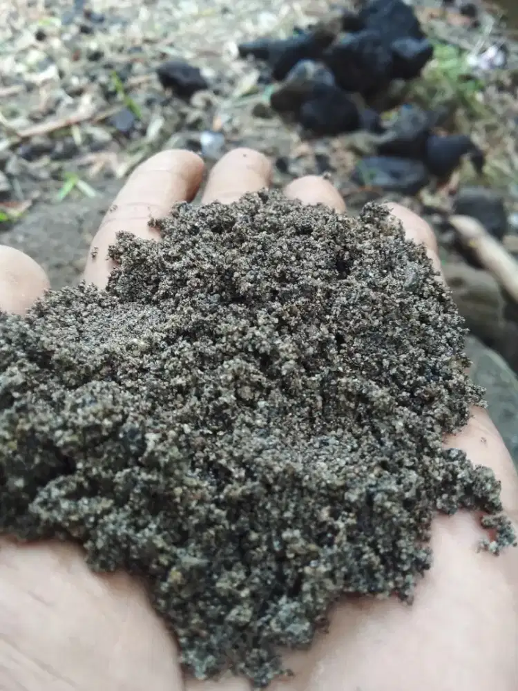 Pasir brantas hitam minim lumpur