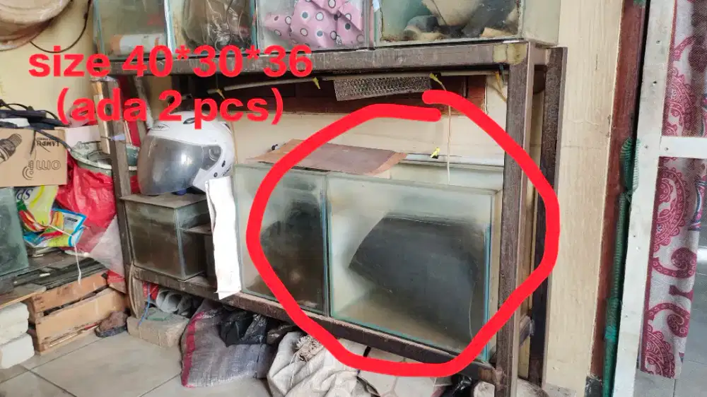 Aquarium bekas Louhan