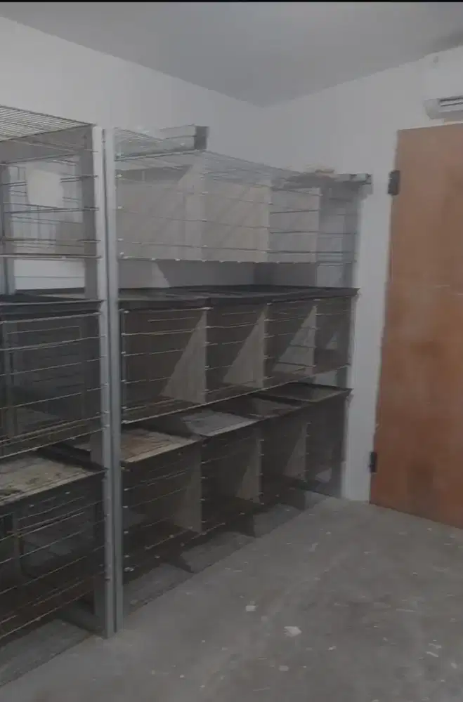 Pet Hotel/Penitipan Kelinci bsa antar jemput wilayah Tangerang Selatan