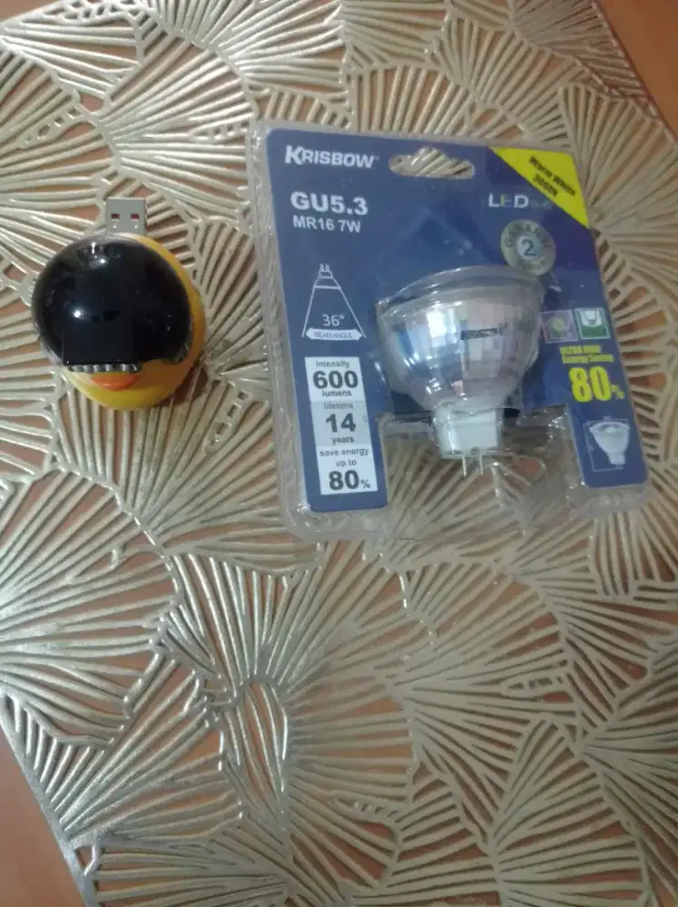 Lampu LED dan bebek pintar