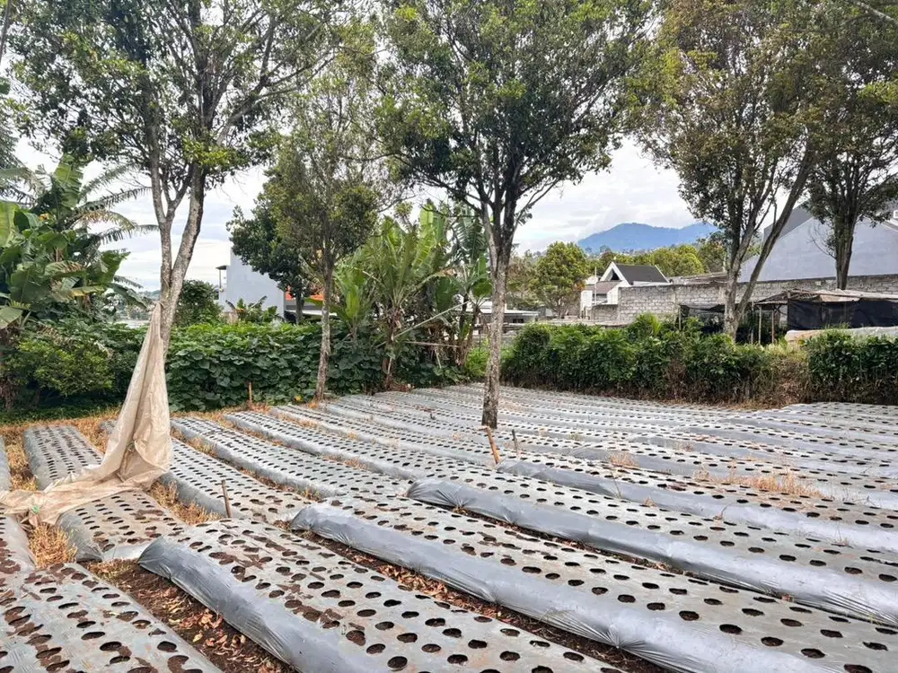 TANAH MURAH DEKAT ECO PESANTREN DAARUT TAUHID