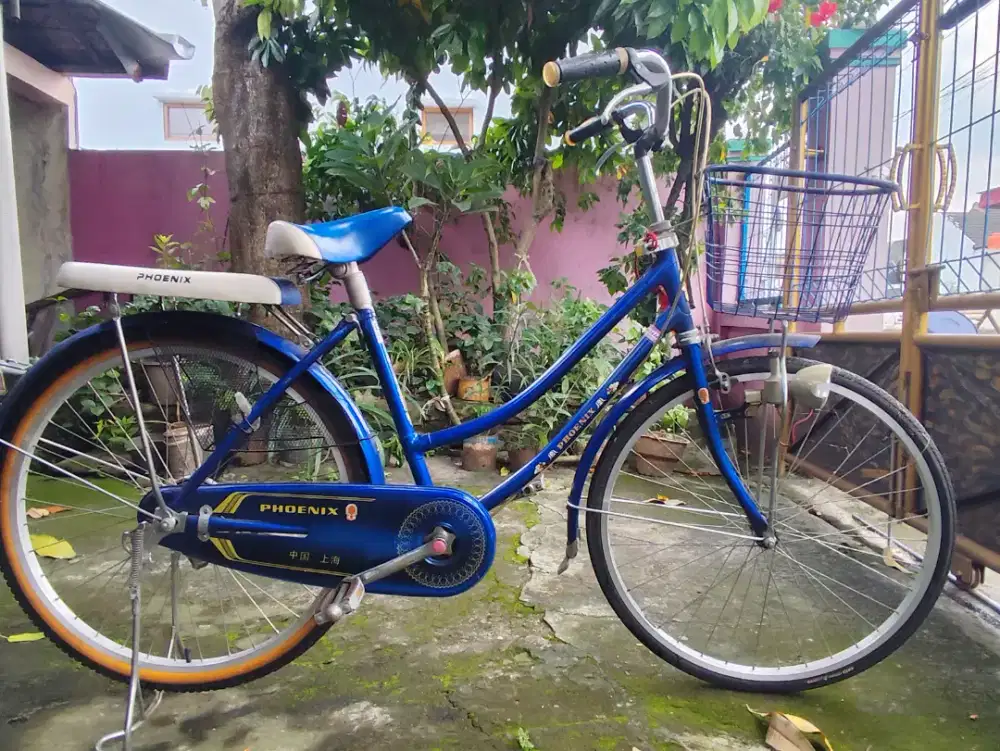 Sepede kranjang Phoenix