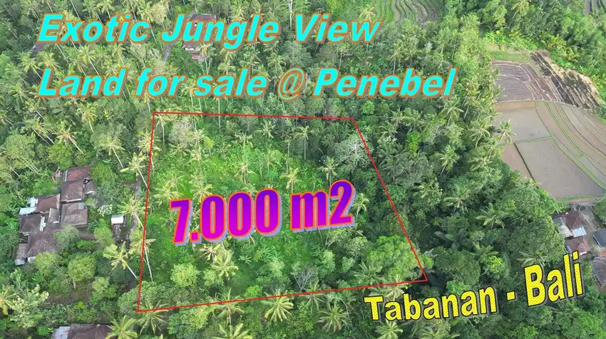 7,000 m2 with Jungle View by the River in Penebel Tabanan