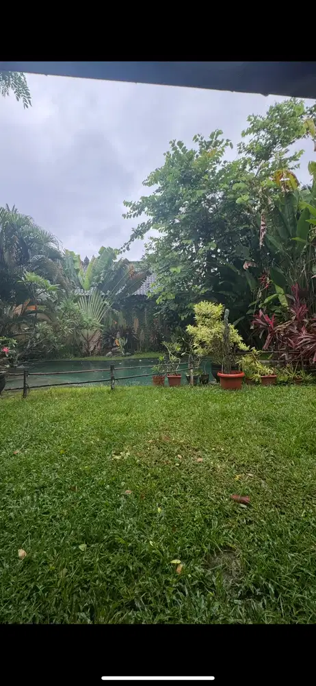 DI BUTUHKAN TUKANG KEBUN