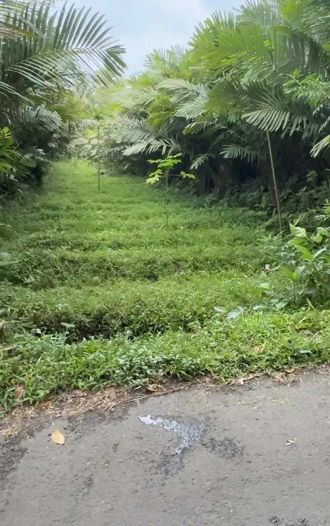 Dijual Tanah Turi Sleman-857 M2 SHM. View Gunung. Cocok villa or RM