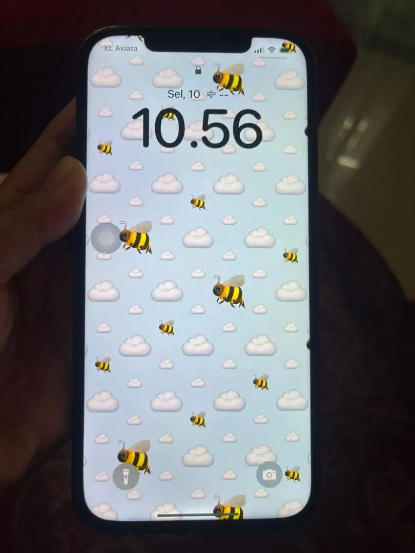12 promax 128gb imei aman all operator