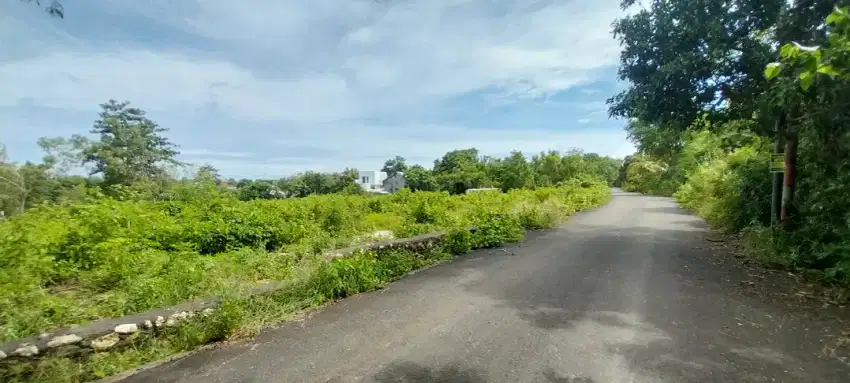 Dijual tanah 3.000m2 SHM