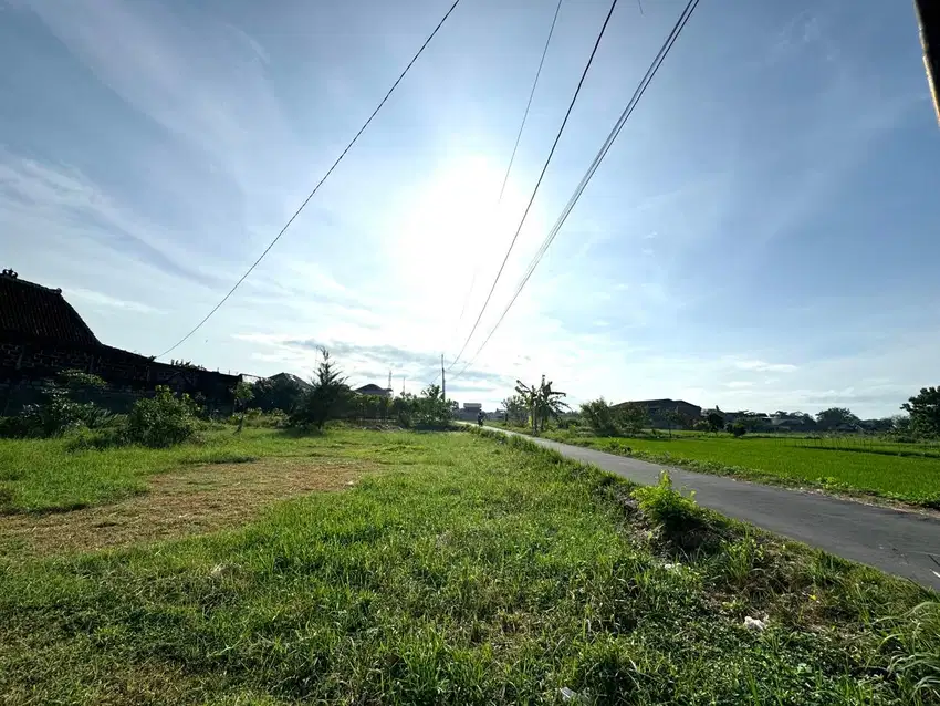 Tanah Dalam Ringroad Jogja, 10 Menit Kampus UGM