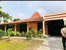 Rumah+kosan murah di bawah NJOP di Cibubur Ciracas Jakarta timur