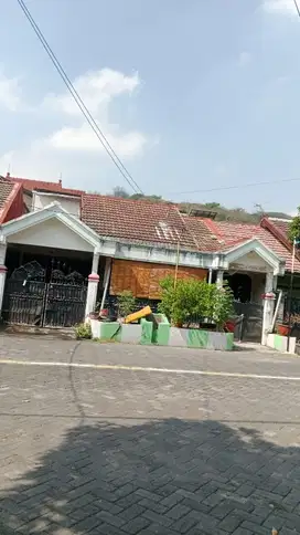 rumah luas dan kuno randuagung gresik