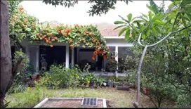 Rumah tinggal 1 lantai Kemang, Mampang Prapatan Jakarta Selatan