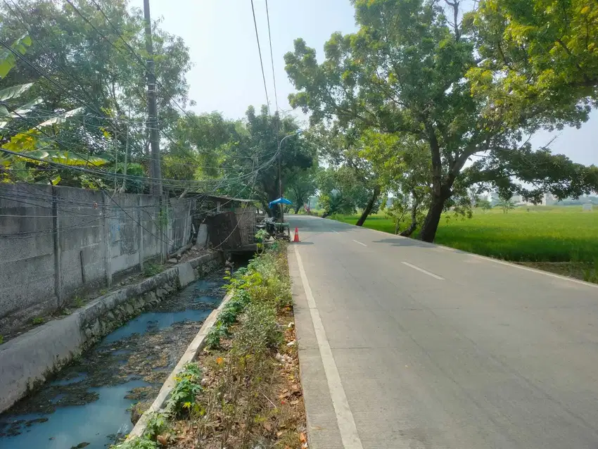 kavling 6.000 m2, SHM, Jl. Rorotan.