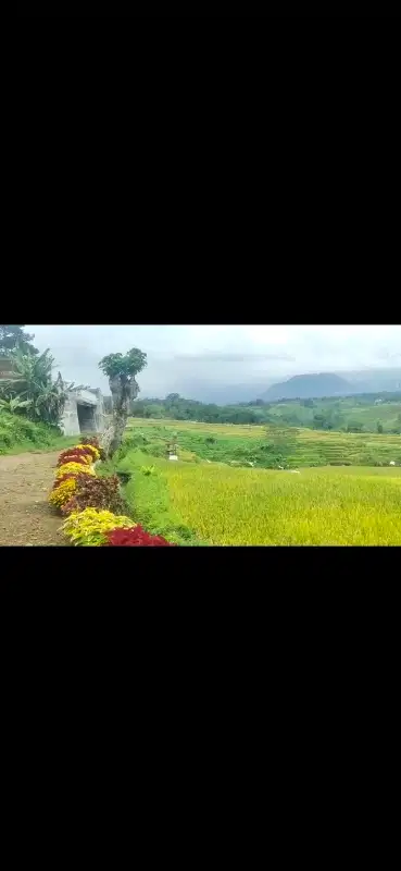 Tanah 2 Lokasi luas 2000 & 4000 mtr view hadap gunung langsung