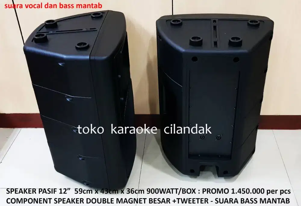 speaker pasif 12in 1pcs