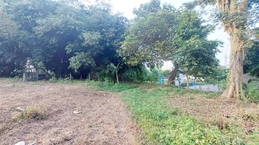 2 Jt-an Kavling SHM Area Cileungsi. Layak Huni dan Siap Bangun