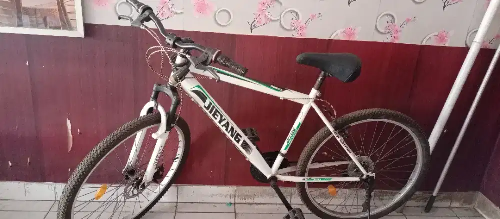 Sepeda Jieyang 2013