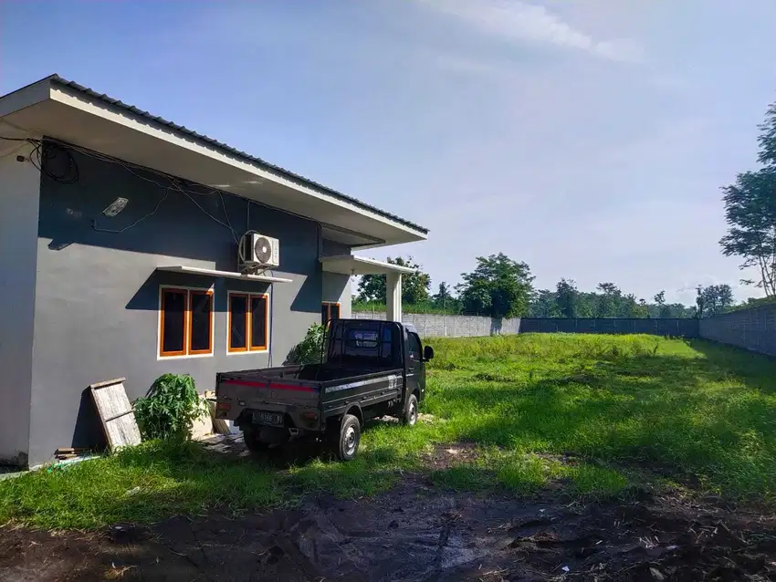 Dijual Tanah Kunir ( Karanglo ) Lumajang