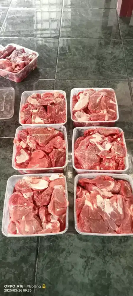 Daging Segar Fresh Baru potong 1kg