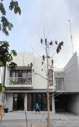 Di Jual Rumah Baru 2 lt sangat Strategis Jakal km 7