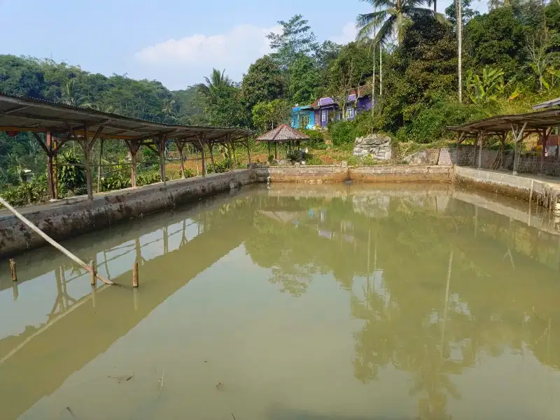 Dijual Kolam Pemancingan di Nangewer Dekat Exit Tol Darangdan