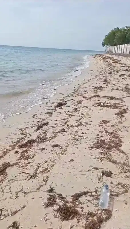 Di jual tanah 24 are beach front sekotong beach front