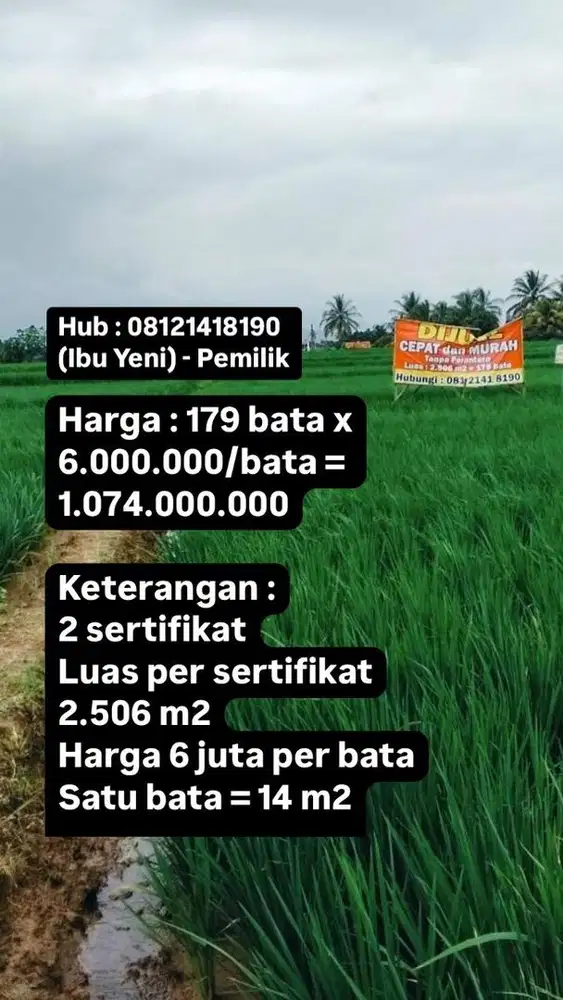Dijual Cepat Sawah Kota Subang