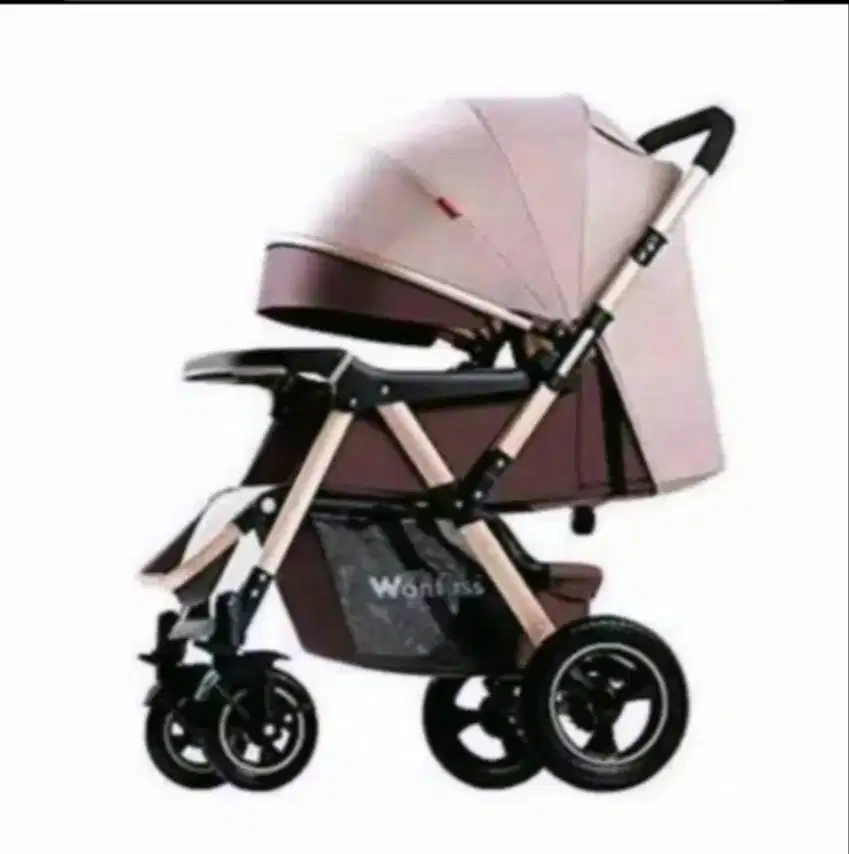 Stroller Baby Bliss Wonfuss 511