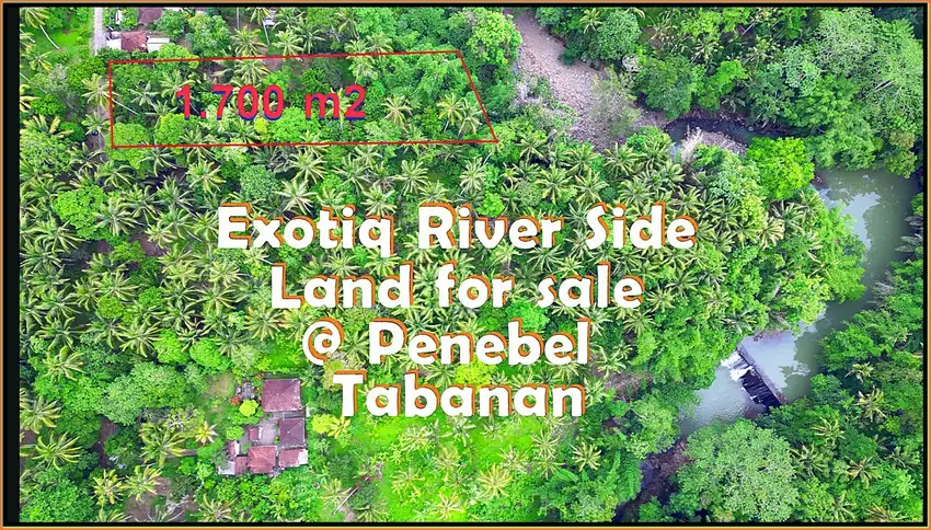 1,700 m2 with Jungle and Mountain view by the river in Penebel