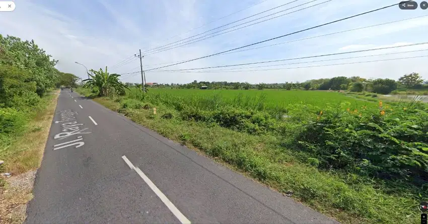 Dijual Tanah zona Industri Gresik Raya Tenggilis Lokasi Bagus
