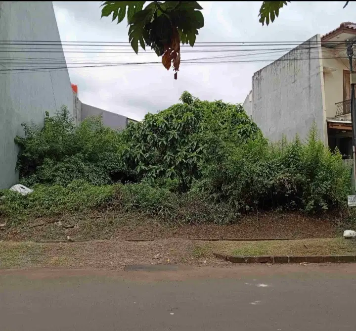 KAVLING GANDENG 10.5 JT/ M  REGENCY MELATI MAS BLOK C