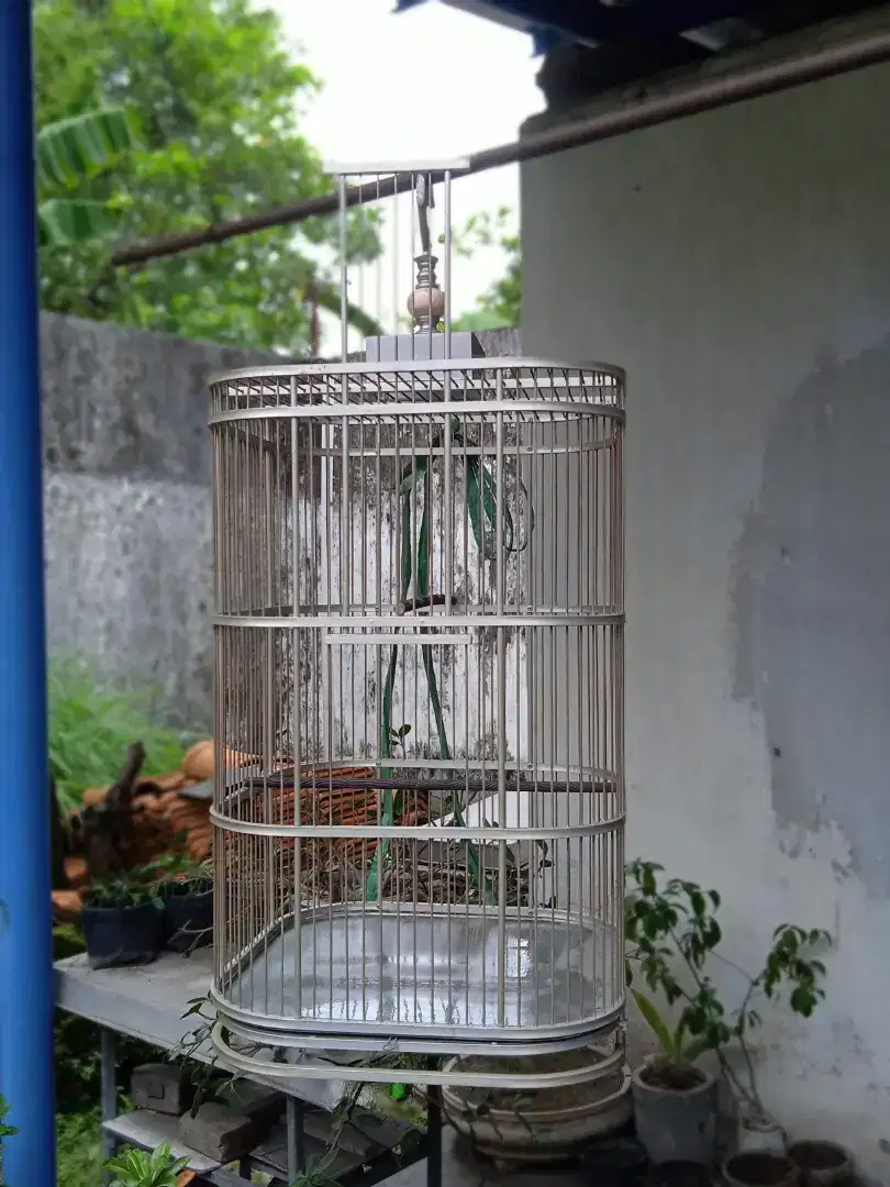 Kandang Besar Silver untuk Burung/Reptil Ukuran Besar