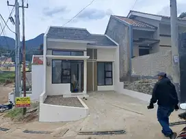 Rumah elegant pinggir jalan kabupaten