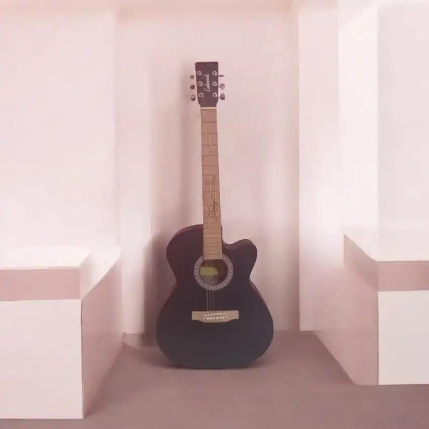 GITAR AKUSTIK LAKEWOOD TANAM BESI