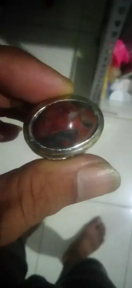 Pancawarna Garut lawas natural