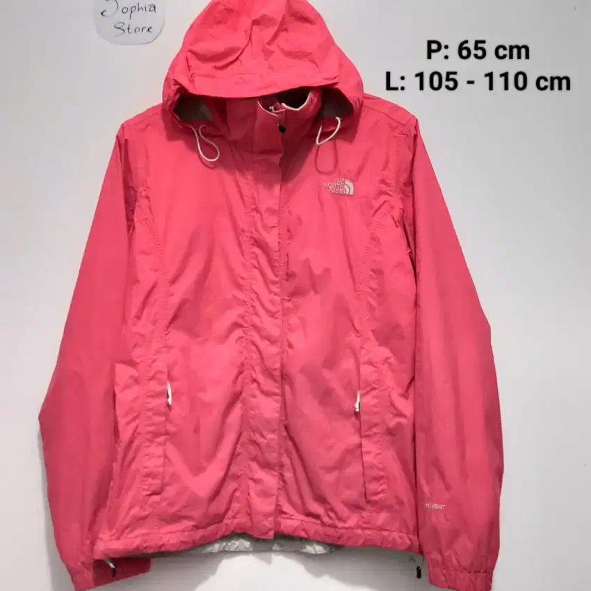 TNF Hyvent Gorpcore