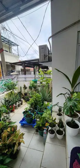 Rumah Citra 1 (Ukuran 8x15 m)