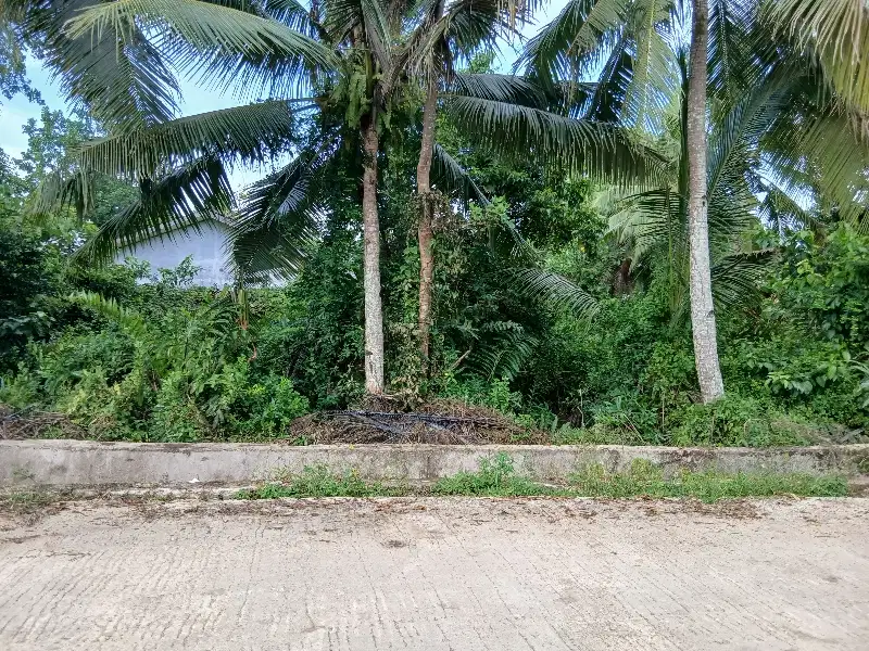 Jual Tanah Kapling di Kota Sorong Kilo 13 Uti