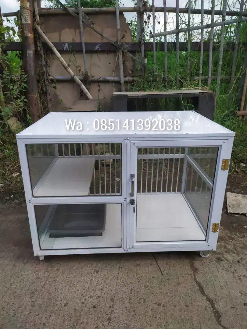 Kandang kucing dengan desain unik dan menarik