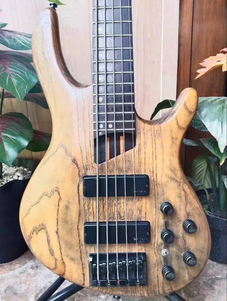 Dijual Gitar Bass Cort B5 5 String Free Soft Case Dr. Case