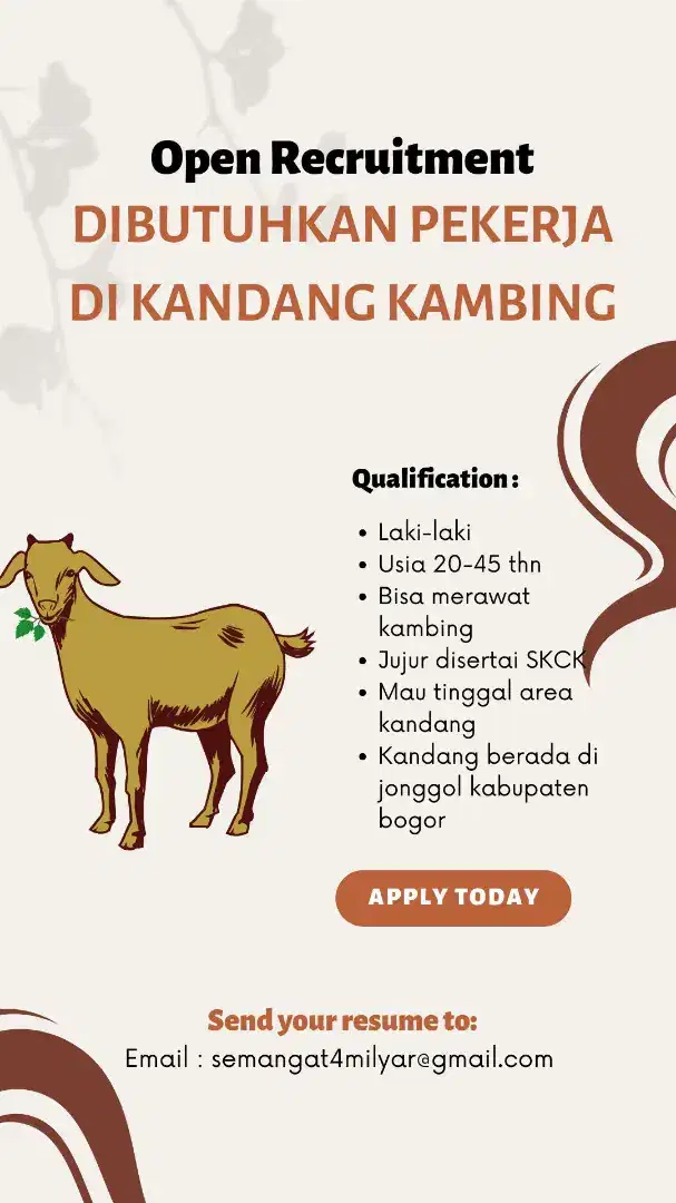 Lowongan kerja anak kandang