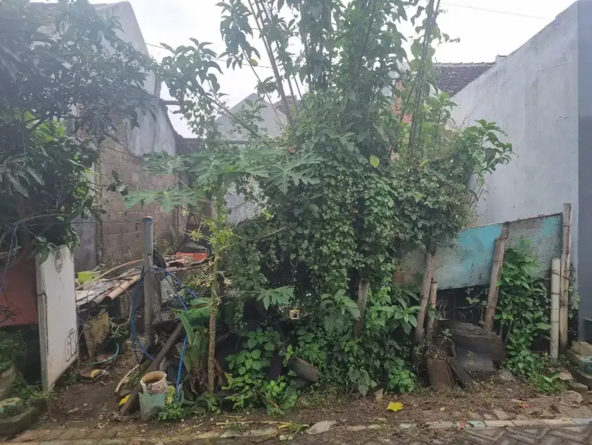 Tanah ngijo karangploso