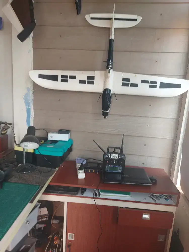 PESAWAT RC GLIDER WS 120