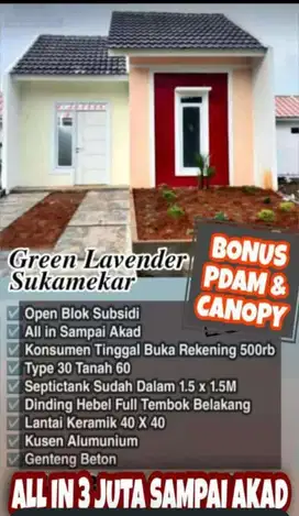 Green lavender sukamekar